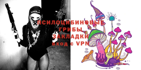 гидра Алзамай